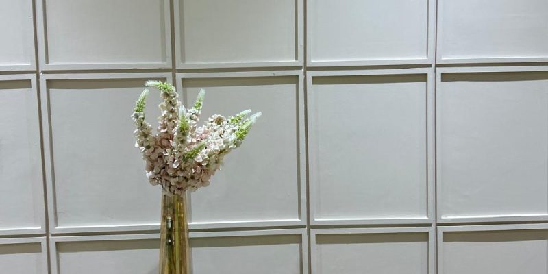 WhatsApp Image 2025-08-28 at 9.19.16 PM