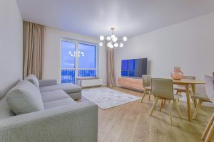 A spacious modern living room featuring stylish furnishings and decor.